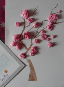 cerisier japonais box creative tiniloo