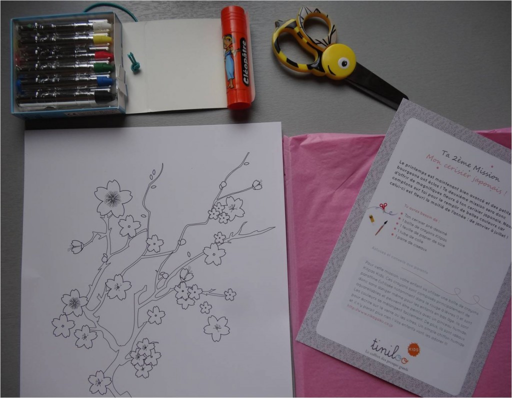 materiel cerisier japonais tiniloo