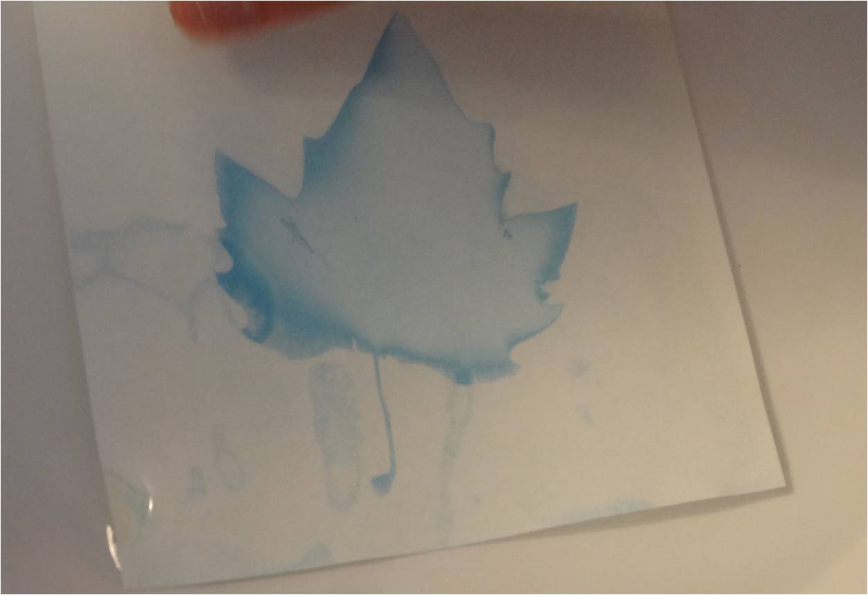 revelation impression solaire dans l'eau