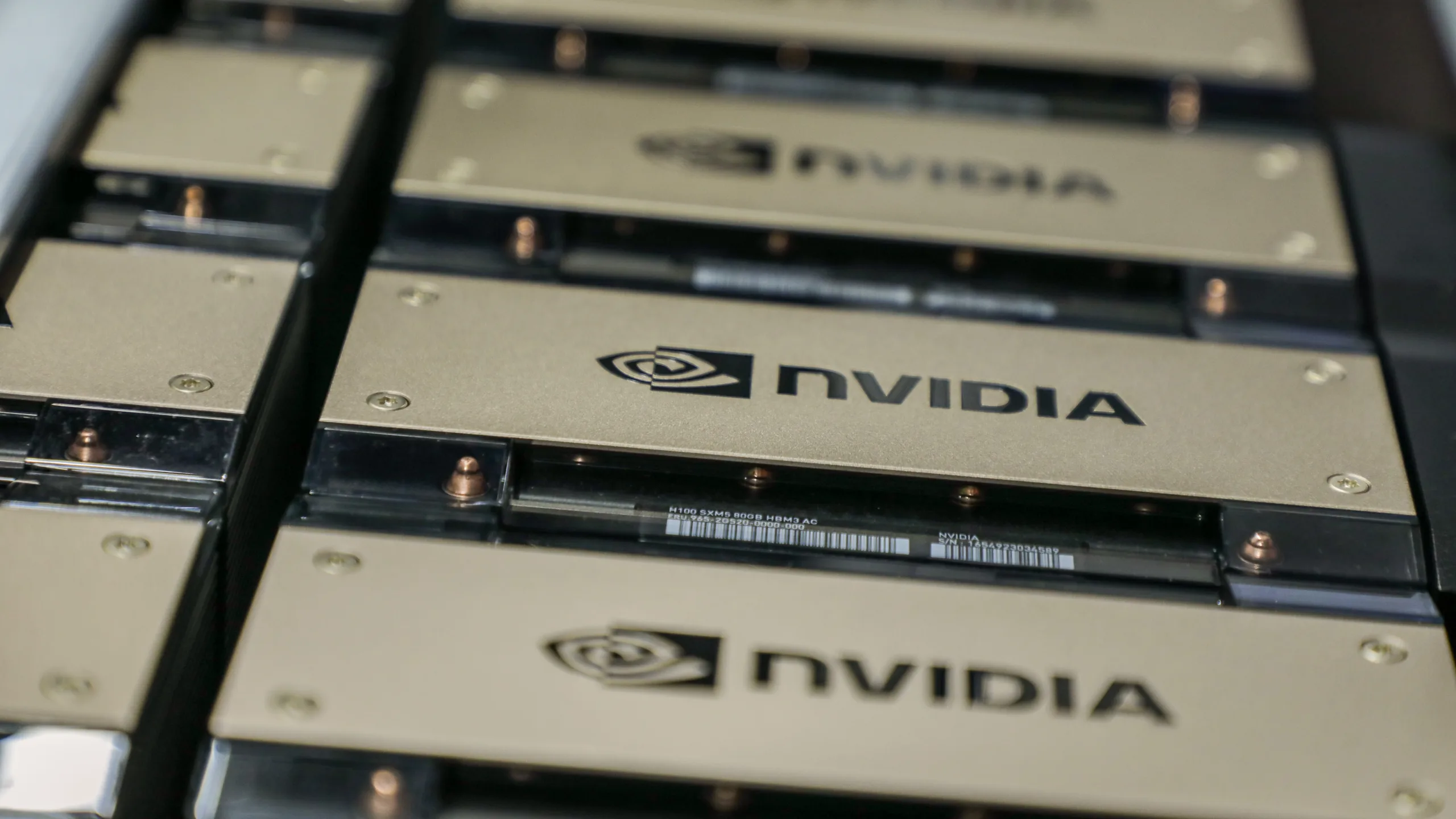 Nvidia Backs Little-Known Upstart in India's Biggest AI Bet Yet