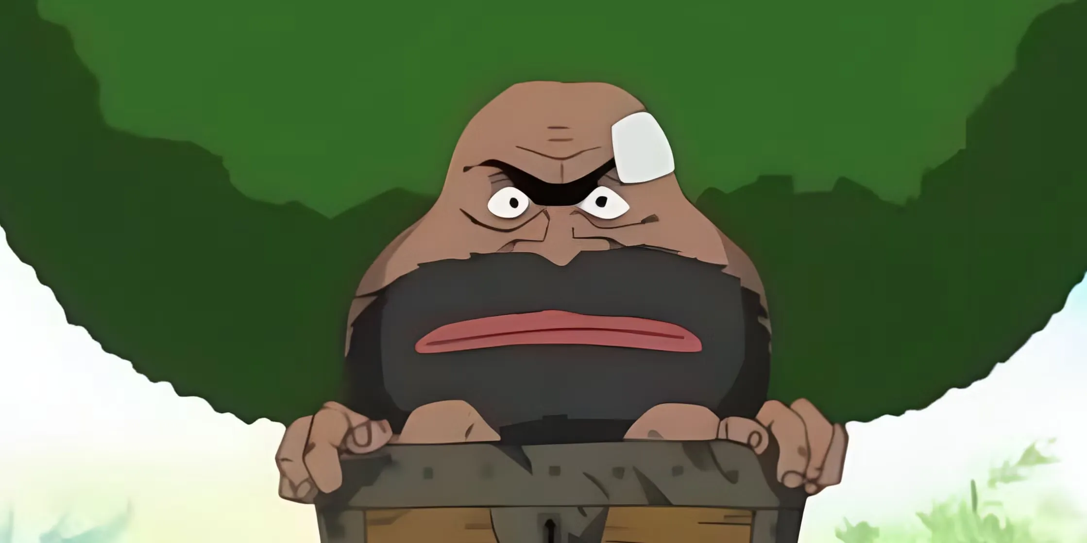 one piece gaimon