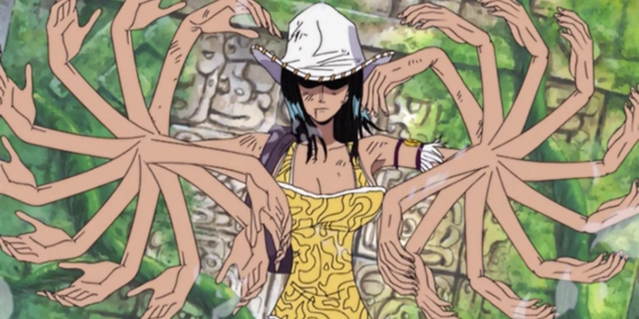 Nico Robin Growing Multiple Arms With Her Devil Fruit One Piece
