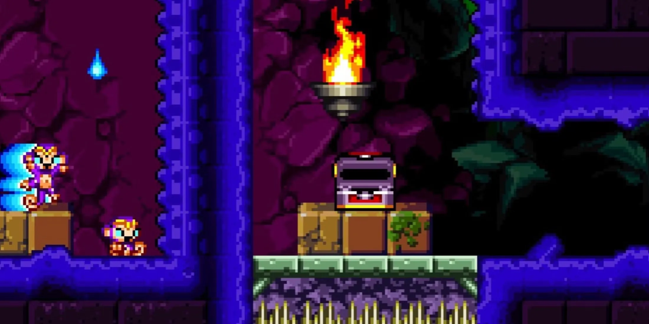Shantae As A Monkey In Shantae Risky S Revenge