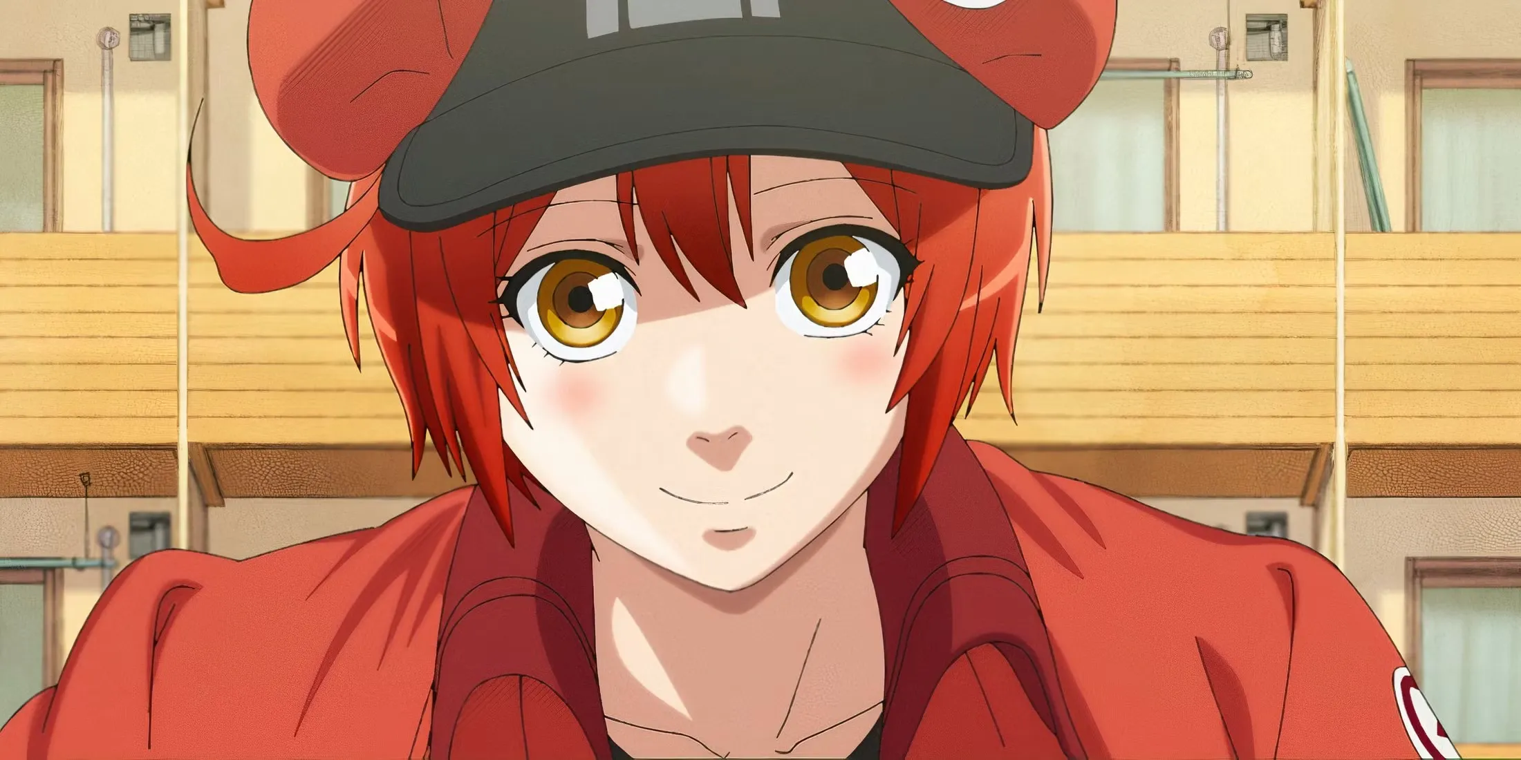 Red Blood Cell In Cells At Work