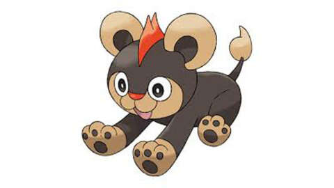 4273049 Pokemon Legends Za Litleo
