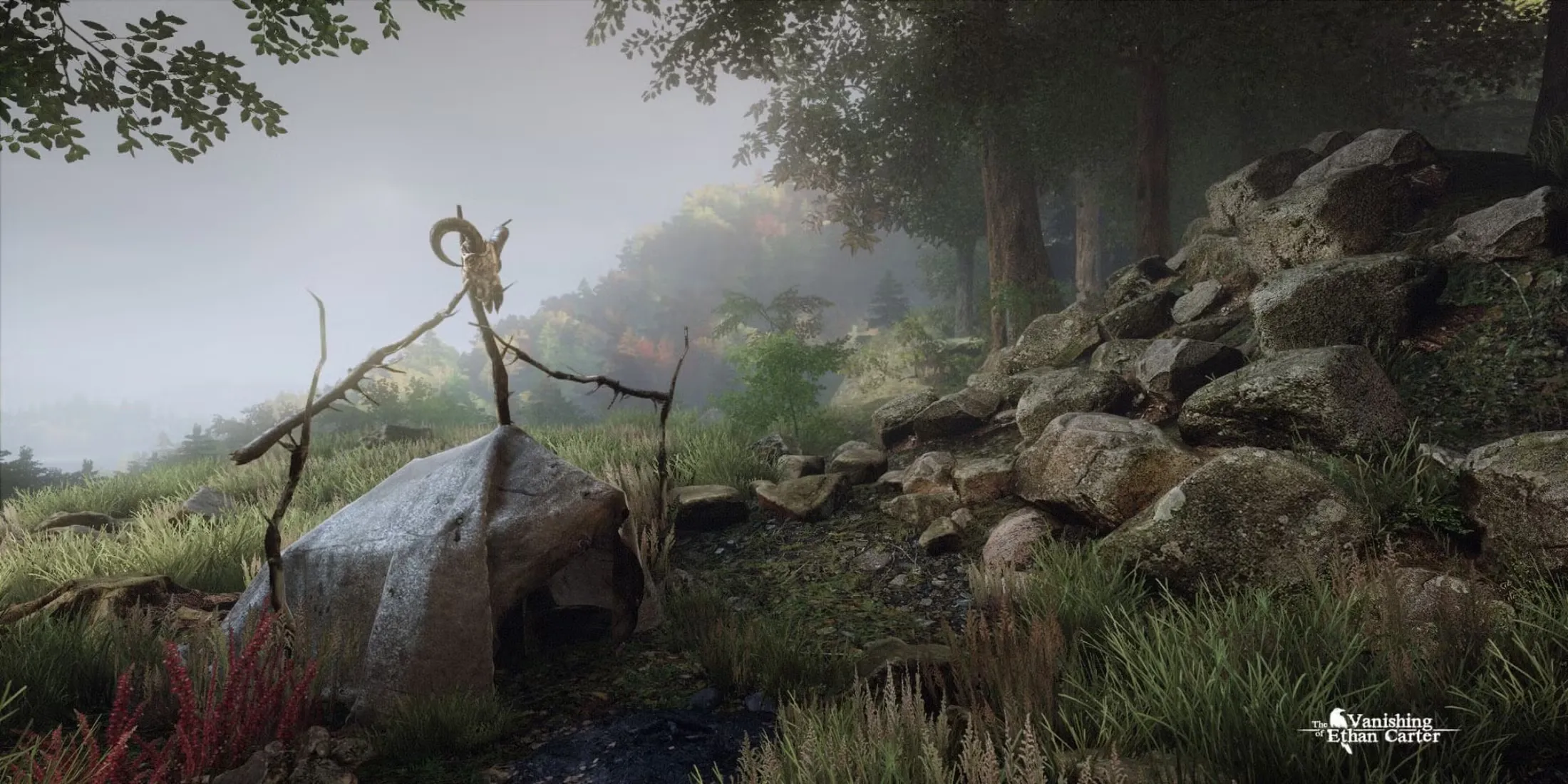 The Vanishing Of Ethan Carter Screenshot Tent And Skull 1