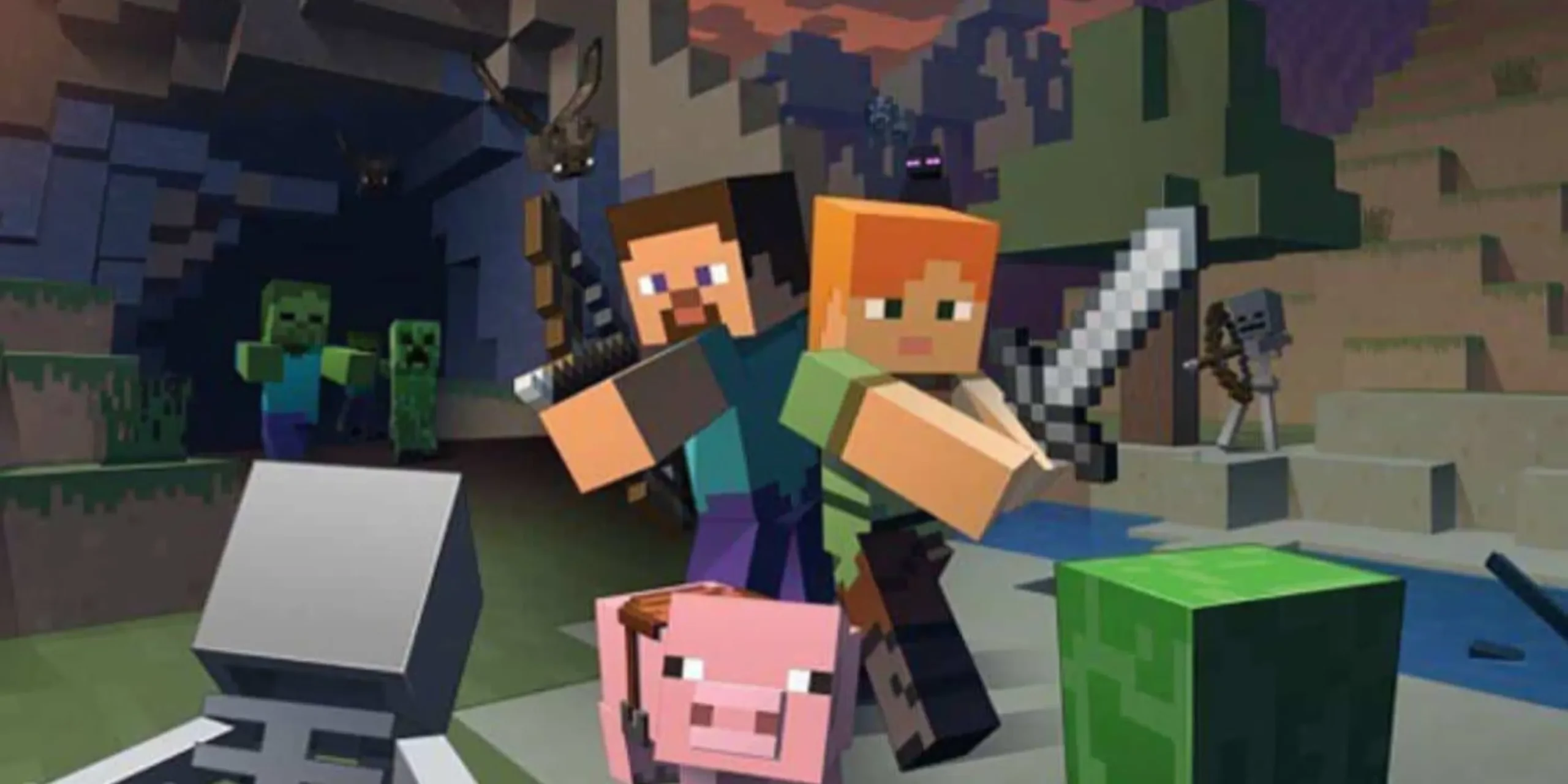 Minecraft Co Op