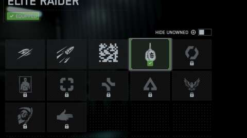 4583332 Eliteraidericon