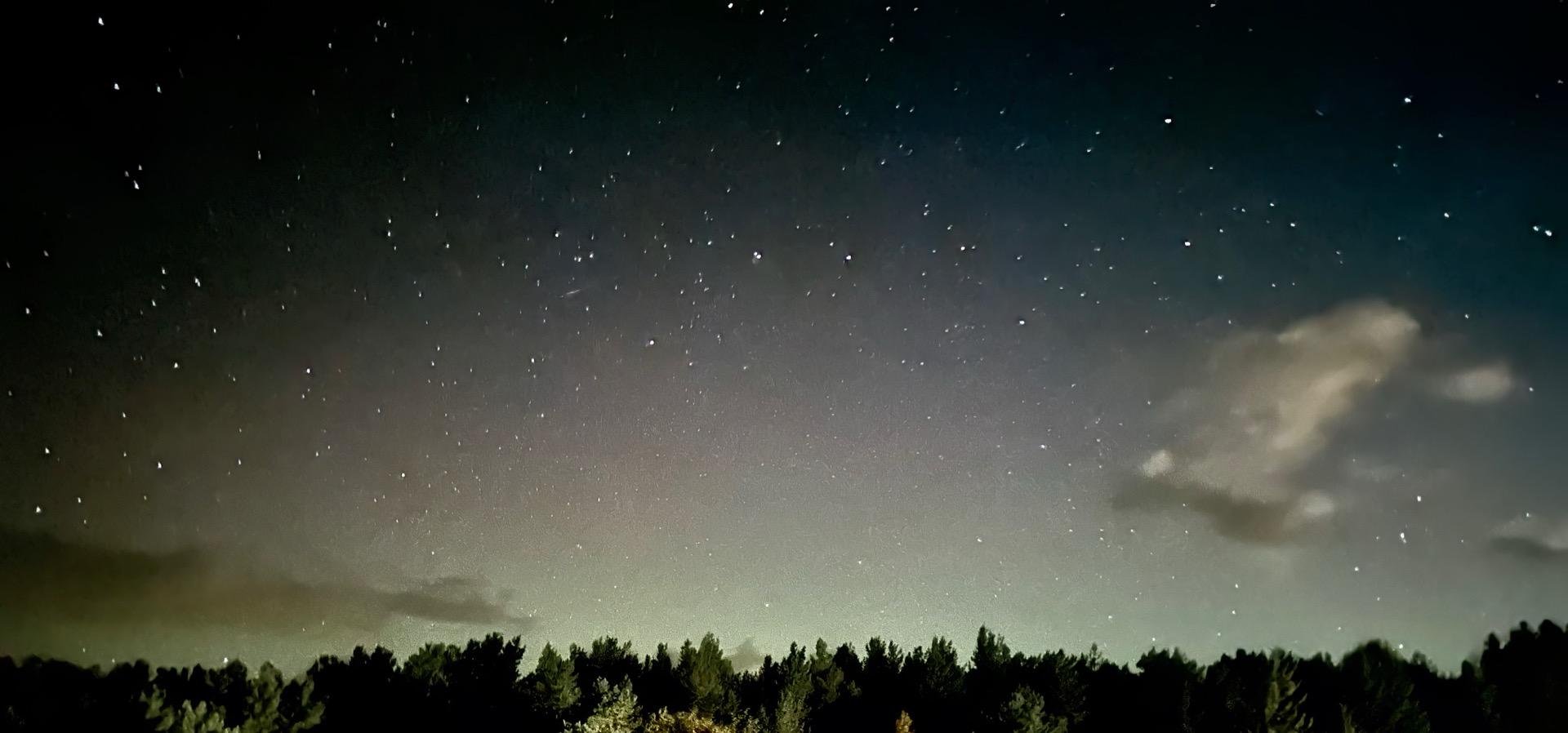 The image shows a night sky filled with stars, a faint glow possibly from the Milky Way, and a landscape silhouette of a forested area. The stars are bright against the dark sky, and there appears to be a soft glow near the horizon, which could be due to light pollution or a natural atmospheric phenomenon. The area at the bottom of the image is darker, showcasing the outline of treetops against the night sky. Clouds can also be seen diffusing part of the starlight, adding to the scene's serene and natural atmosphere.