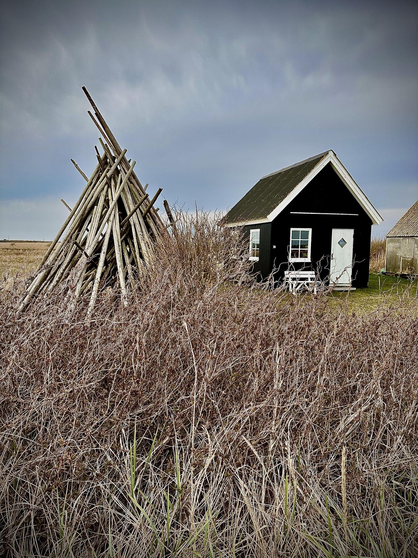 The image shows a rustic setting with a black wooden cabin featuring a white door and two white-framed windows. In the foreground, there is a large pile of wooden logs stacked into a conical shape, reminiscent of a makeshift shelter or woodpile. The cabin is surrounded by tall, dry grass, adding to the secluded, rural feel of the scene. The sky is overcast, suggesting a cool or gloomy day. This setting seems to evoke a sense of solitude and a close connection with nature.