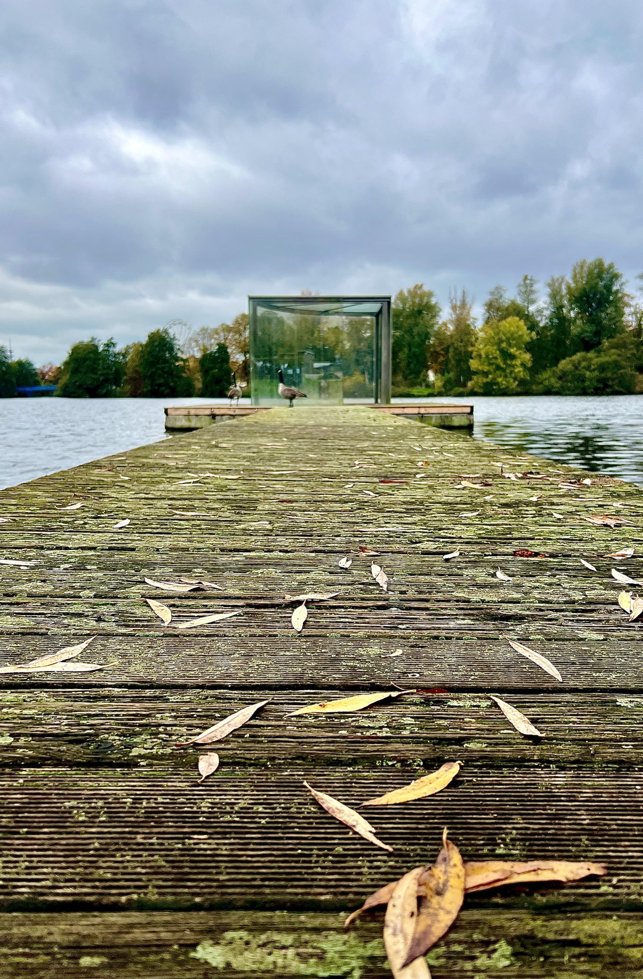Weathered wooden pier strewn with fallen leaves leads to a transparent glass structure at the end, set against a backdrop of a cloudy sky and trees displaying early autumn colors along a tranquil riverside. Two geese are near the structure on the pier.