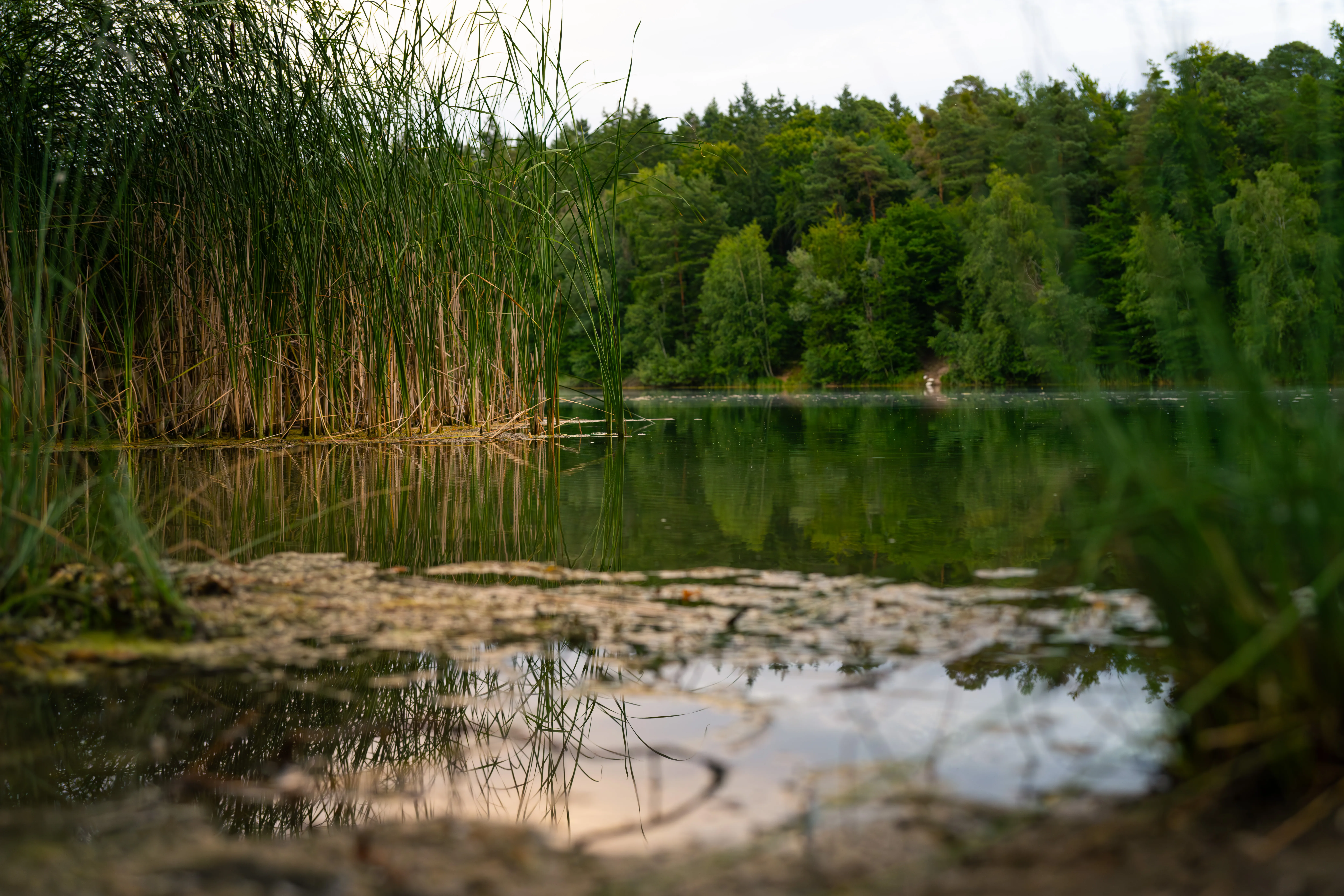 Walldorf Lake