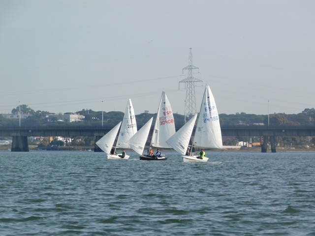 Regata Fin de Año Image