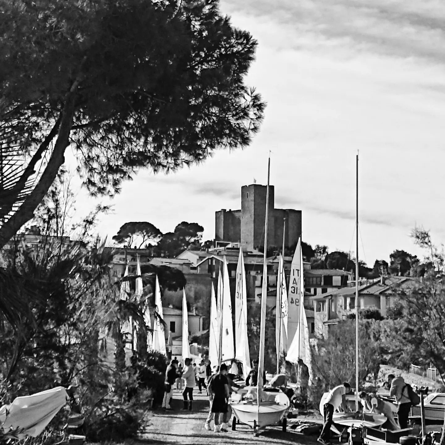 Talamone Winter Trophy Image