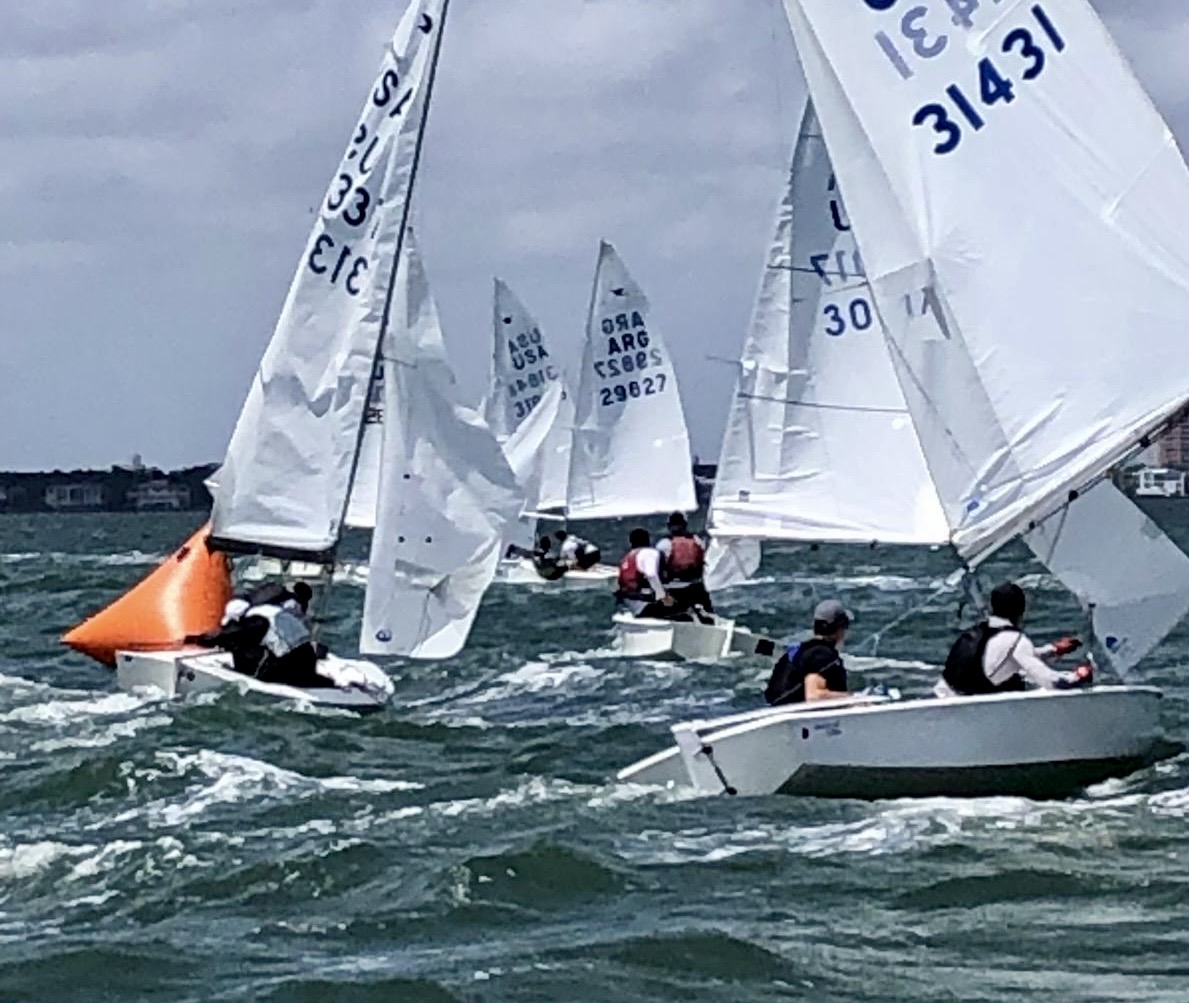 Don Q – Day 2 Image