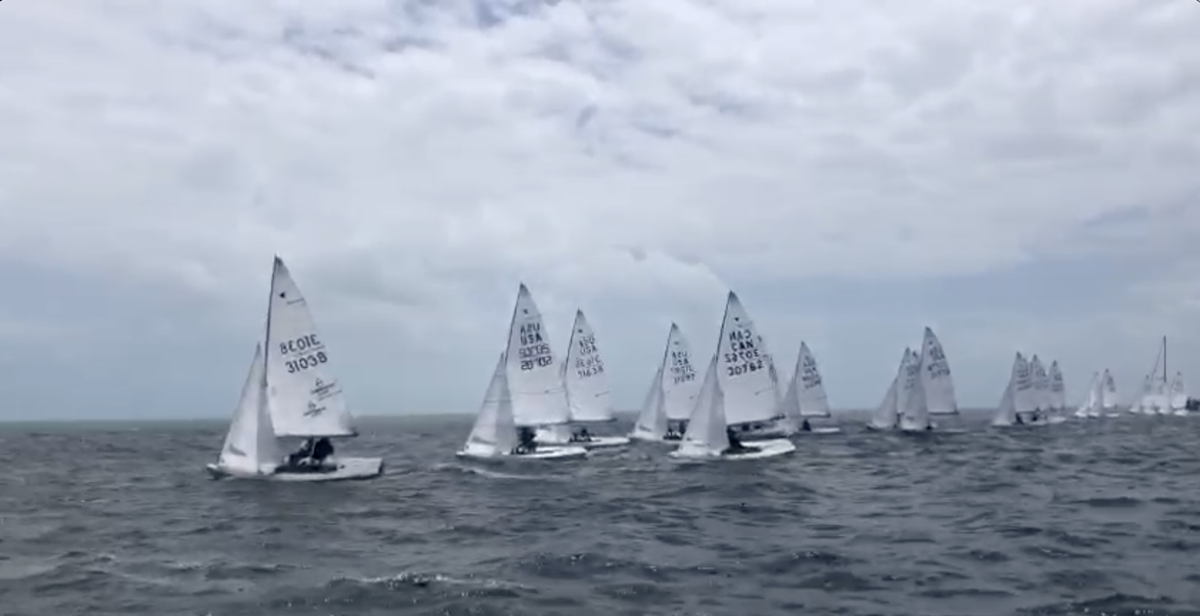 Don Q – Day 1 Image