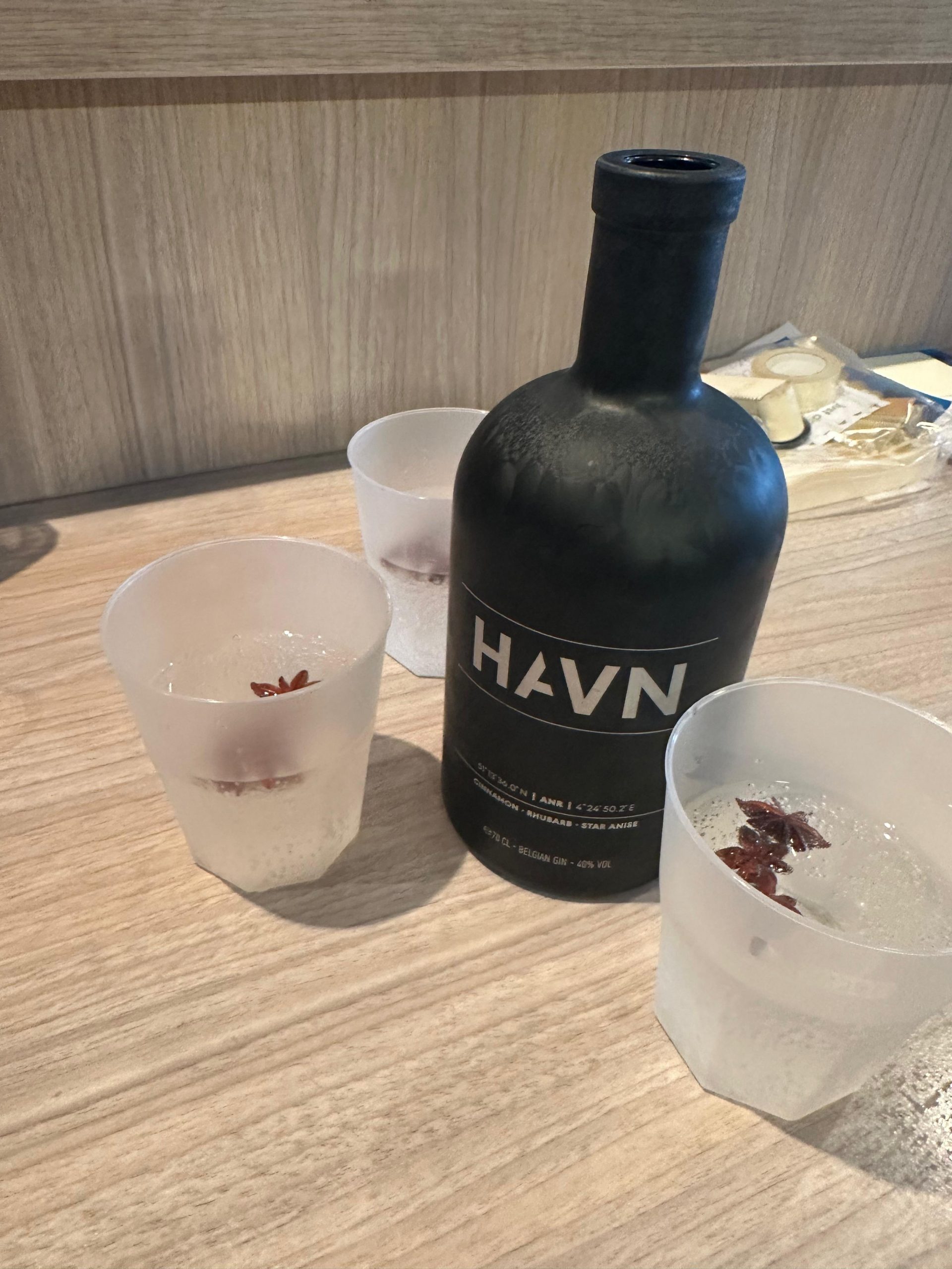 Havn Cup Image