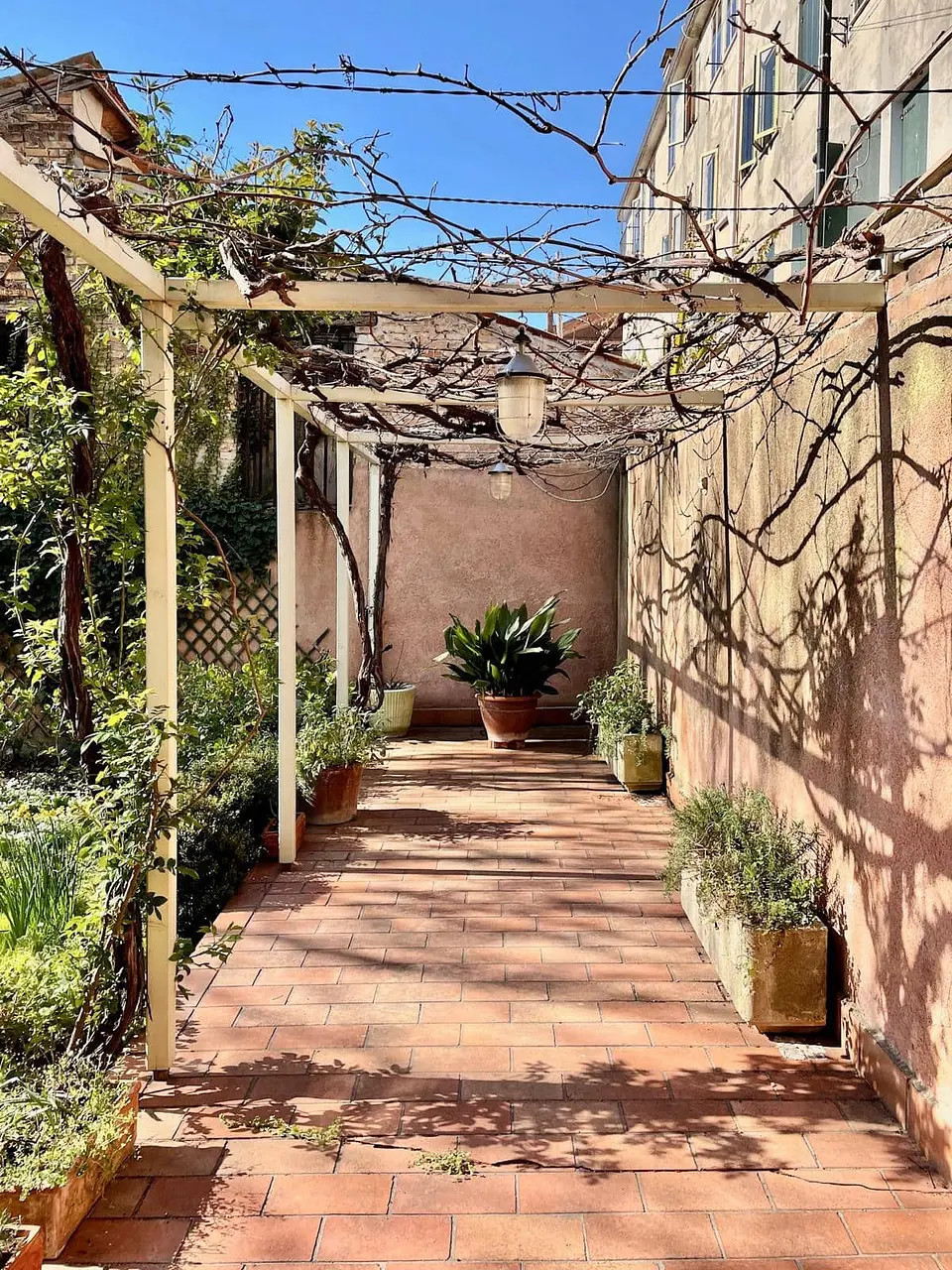 Un jardin à Venise — photo 15