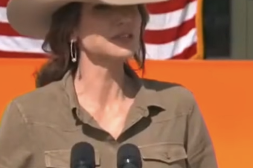 Renee Nicole Good Was a Domestic Terrorist