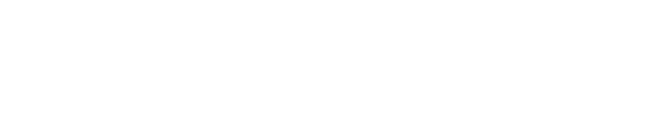 Liber Consulting