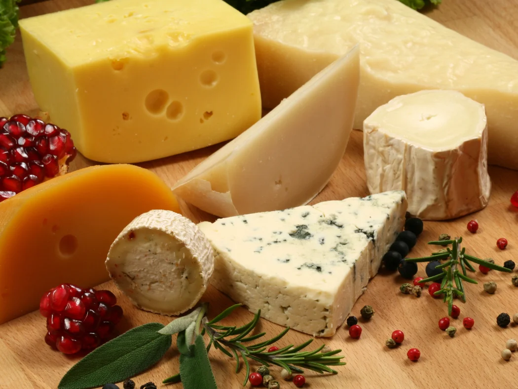 Käsetastings organisieren – einfach und professionell