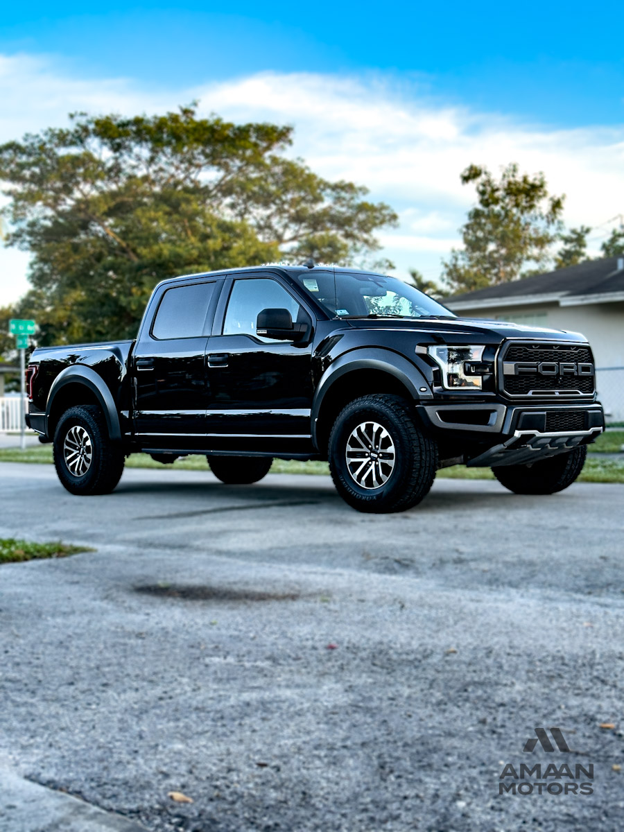 2019 Ford F-150 Raptor