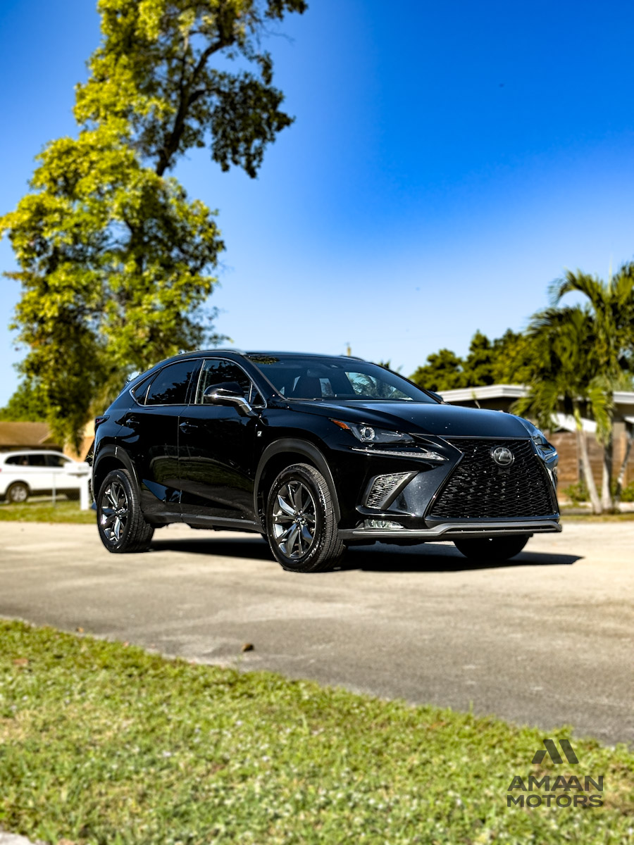 2019 Lexus NX 300 F SPORT's photo