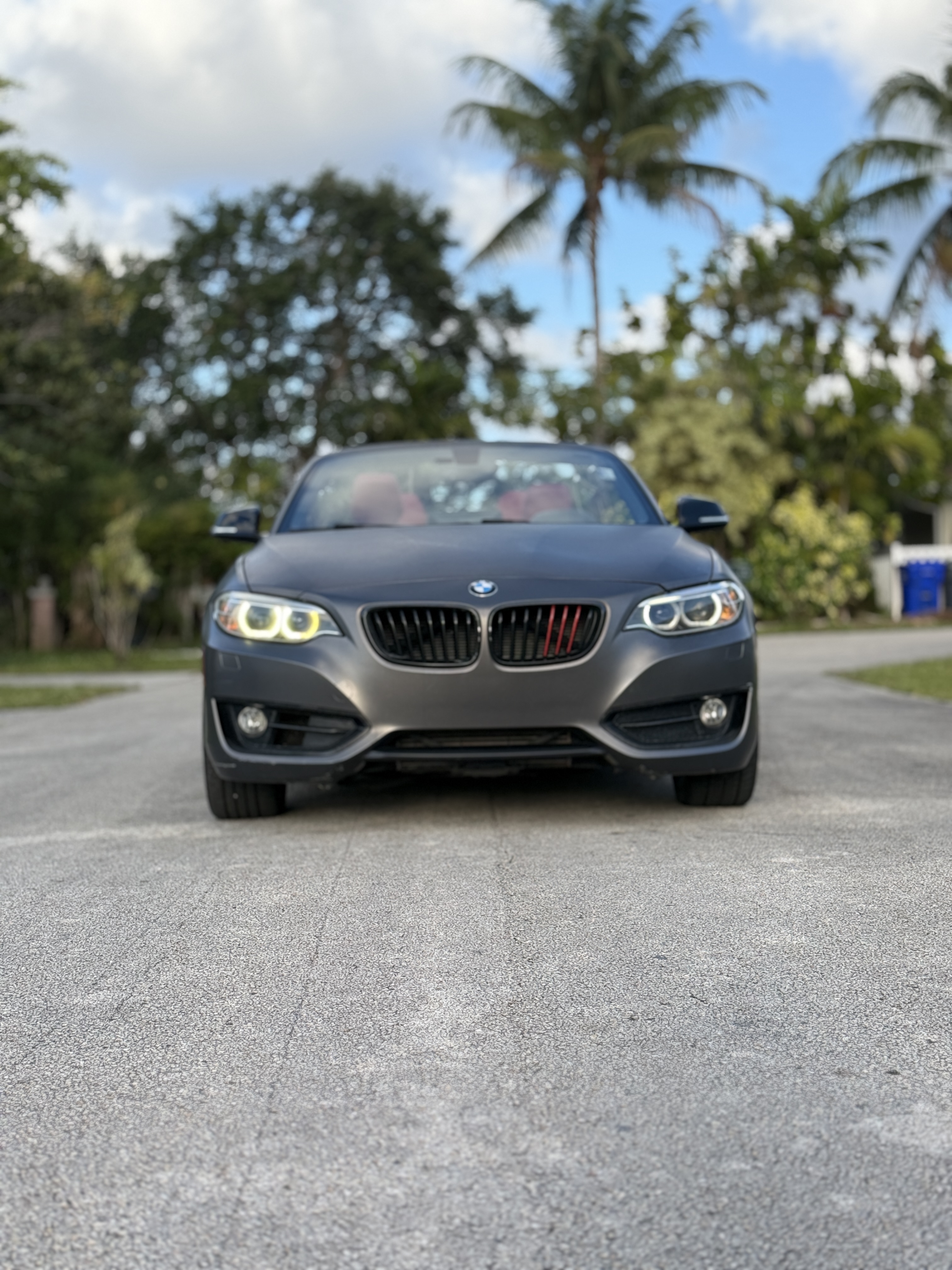 2015 BMW 2 Series 228i Convertible M Sport Line's photo