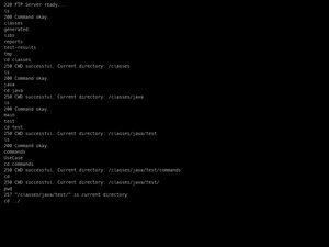 Ftp Client