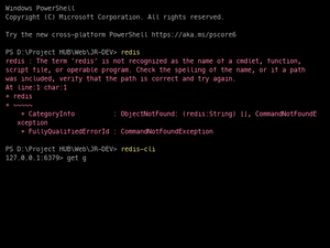 Redis Database