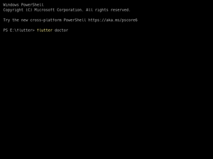 Flutter Doctor Success