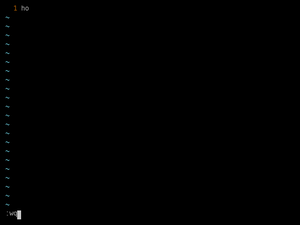 H