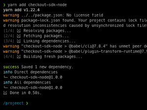 Node JS