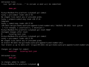 Git Hooks