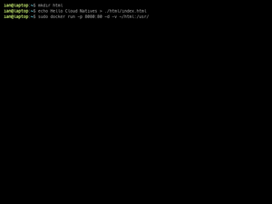 NGINX Docker Demo