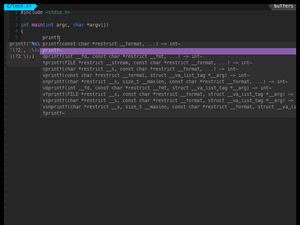 Snippet Error