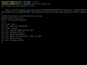 Terminalizer_drive_shell