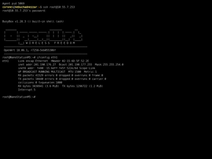 4ta Ip