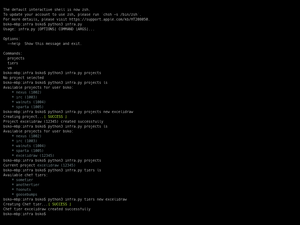 Infra Cli Workflow Demo