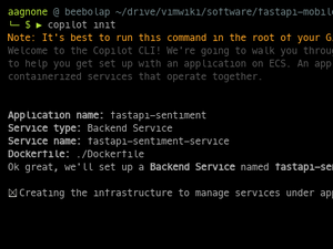 AWS Copilot Initialization