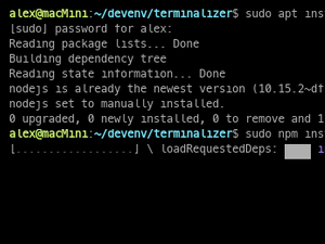Installing NodeJS