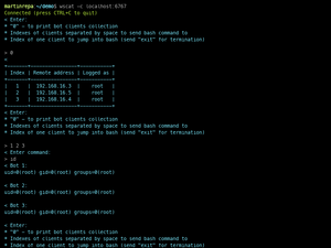 PythonBotnetDemo