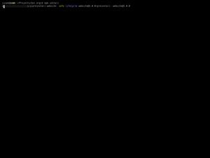 Npm Install