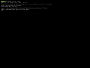 Running Docker