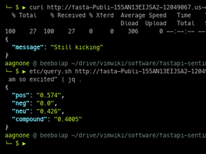 FastAPI Sentiment Analysis API On ECS