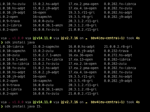 SDKMAN! Bash Completion