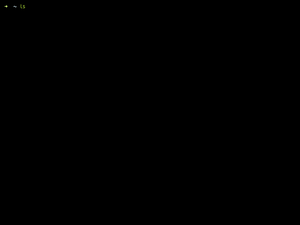 Zsh