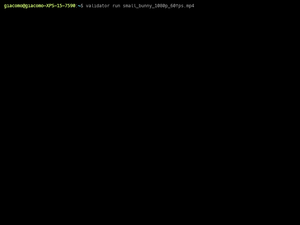 Validator-Cli