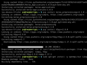 TF Lite Interpreter Setup On RPI