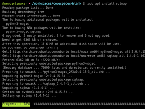 Sqlmap Testing